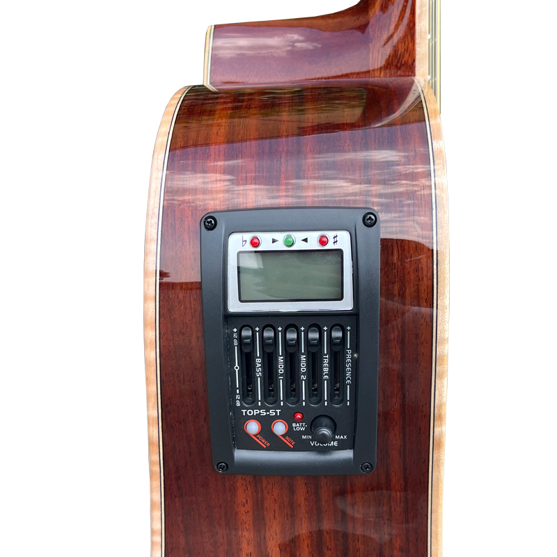 12 string electric acoustic guitar (9)